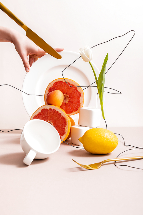 floral and fruit composition with tulip on wire and citrus fruits near cubes, cup, fork, knife and female hand on plate isolated on beige
