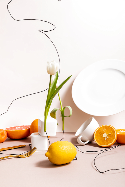 floral and fruit composition with tulip, fruits, dishware isolated on beige