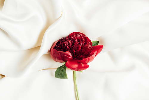 top view of red peony on white cloth