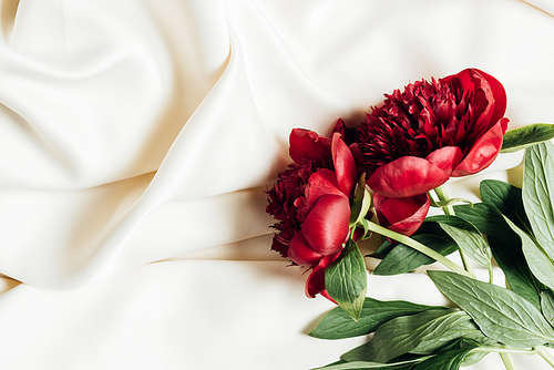 top view of red peonies on white cloth