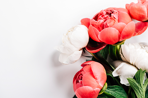 top view of pink and white peonies with green leaves on white background