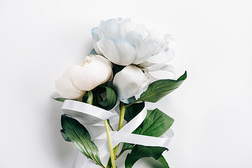 top view of blue and white peonies with ribbon on white background