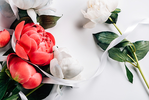 top view of pink and white peonies with ribbon on white background