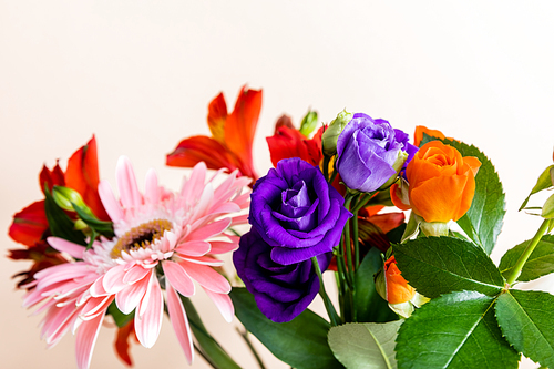 floral composition with bouquet of colorful flowers isolated on beige, selective focus