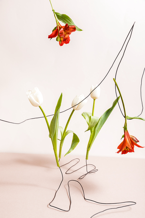 floral composition with white tulips and red Alstroemeria on wires isolated on beige