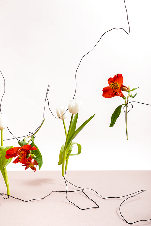 floral composition with tulips and red Alstroemeria on wires isolated on white