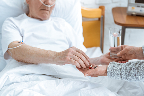 cropped view of senior woman giving glass of water and pills to sick husband in hospital