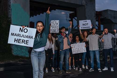 selective focus of woman holding placard with no marijuana lettering near screaming multicultural people