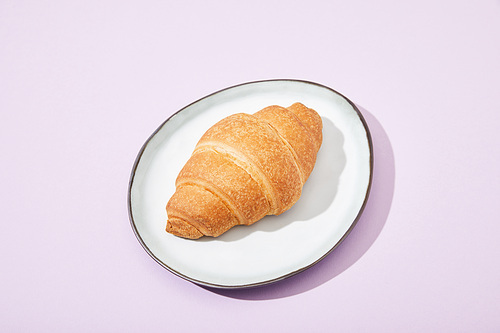 fresh tasty croissant on plate on violet background