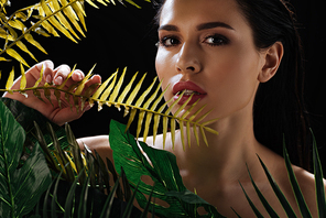 Portrait of sexy woman  and touching leaf isolated on black