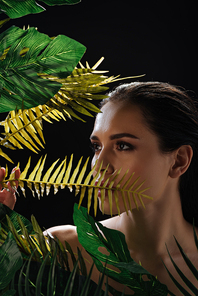 Attractive girl looking away behind green leaves isolated on black