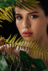 Portrait of beautiful woman  across green leaves isolated on black