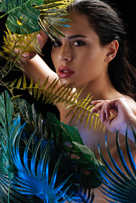 Attractive girl touching leaves and  isolated on black