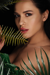 Portrait of beautiful girl  across green leaves isolated on black