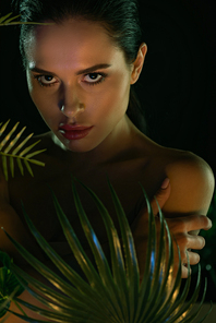 Girl with green leaves  isolated on black