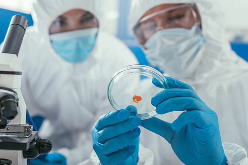 selective focus of biochemist holding petri dish with biomaterial near microscope and colleague