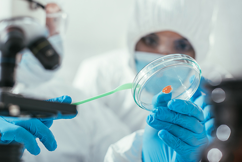 cropped view of biochemist holding spatula and petri dish with biomaterial near colleague