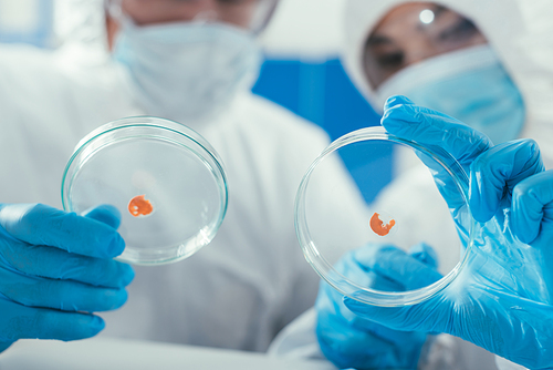 selective focus of two biochemists holding petri dishes with biomaterial