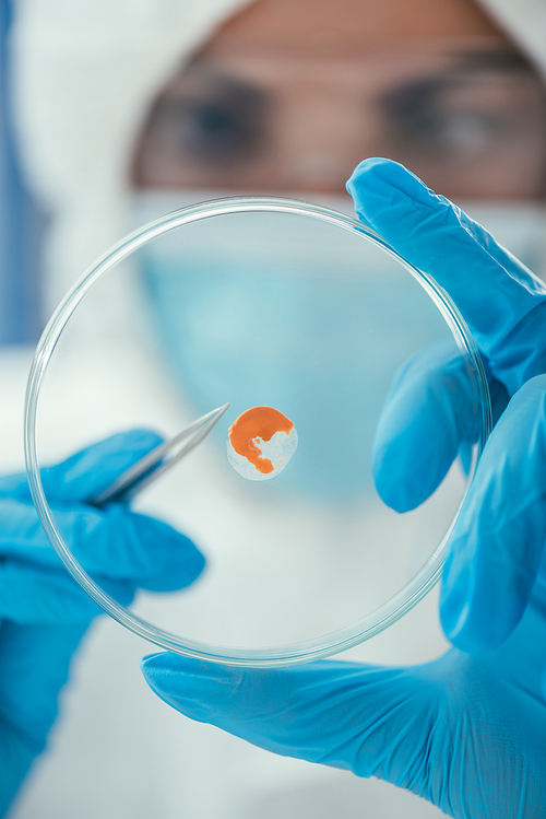 close up view of petri dish with biomaterial in hands of biochemist