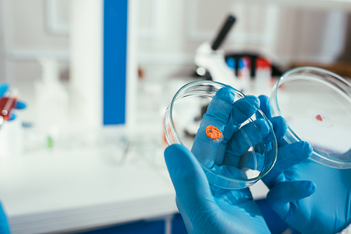 cropped view of biochemist in rubber gloves holding petri dishes with biomaterial