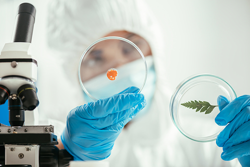 selective focus of biochemist holding petri dishes with green leaf and biomaterial near microscope