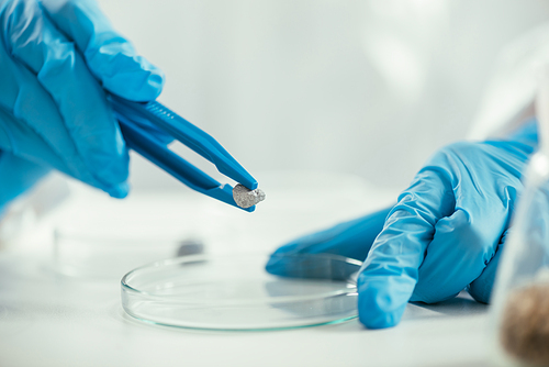cropped view of biochemist holding small stone with tweezers near petri dish