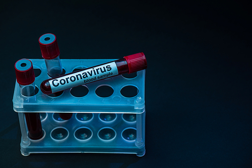 High angle view of sample tubes with coronavirus blood samples in test tube rack on dark background
