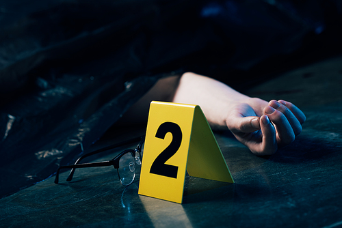 cropped view of covered dead body on floor near glasses and evidence marker