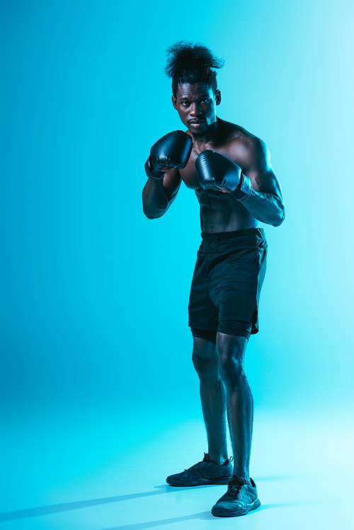 shirtless african american boxer with muscular torso  on blue background