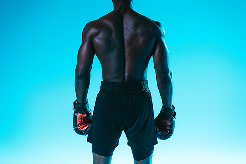 back view of muscular african american sportsman in shorts and boxing gloves on blue background