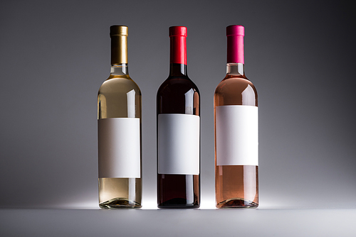 bottles of white, red and rose wine with blank labels on grey background