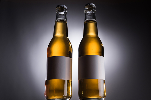 low angle view of two glass bottles with beer and blank labels in row on dark background with back light