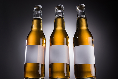 low angle view of glass bottles with beer and labels on dark background with back light