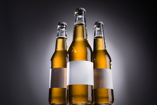 low angle view of glass bottles with beer and blank labels on dark background with back light