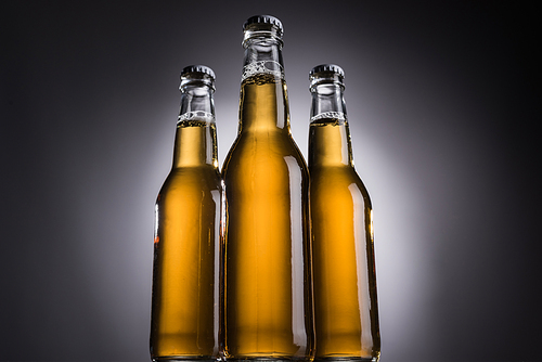 low angle view of glass bottles with beer on dark background with back light