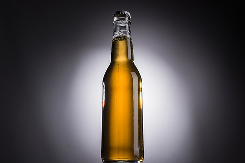 low angle view of glass bottle with beer on dark background with back light