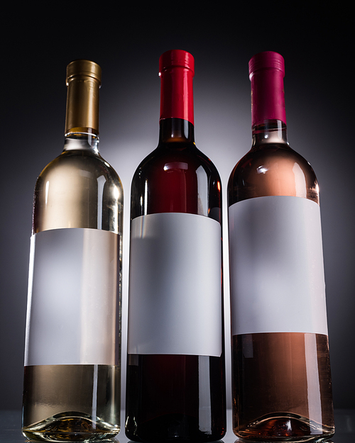 low angle view of bottles with white, red and rose wine and blank labels on dark background with back light