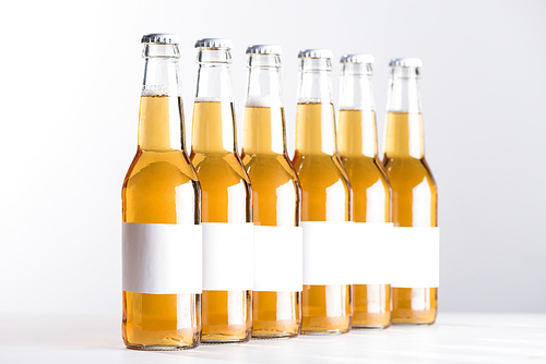 glass beer bottles with blank white labels isolated on grey