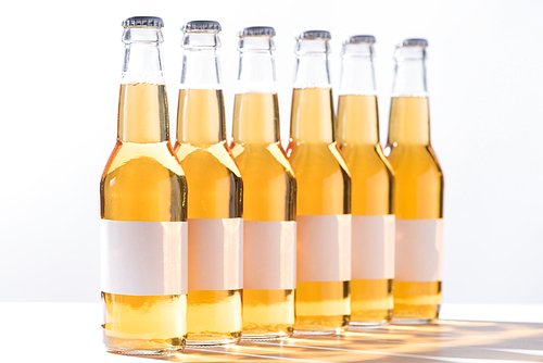 beer bottles with blank white labels isolated on grey