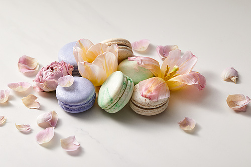 assorted delicious french macaroons with floral petals on grey background