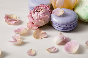 close up view of assorted delicious french macaroons with peony petals on grey background