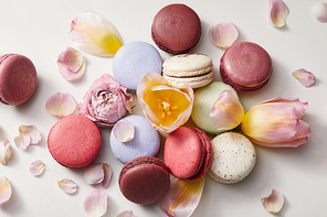 top view of assorted delicious french macaroons with floral petals on grey background