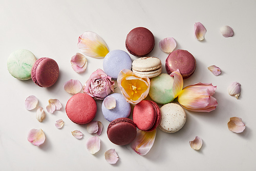 top view of assorted delicious french macaroons with floral petals on grey background