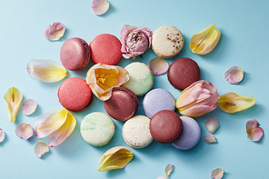 top view of assorted delicious french macaroons with floral petals on blue background