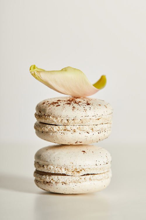 delicious vanilla french macaroons with petal on white background