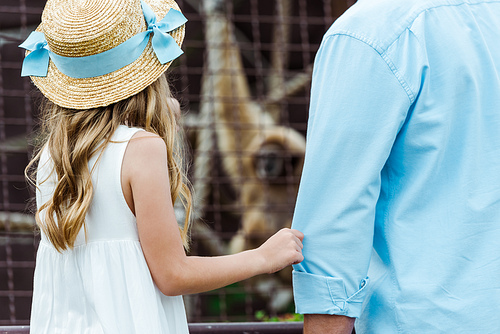 cropped view of father standing near daughter in straw hat in zoo