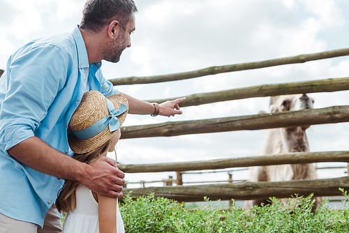 handsome father pointing with finger at camel near daughter in straw hat