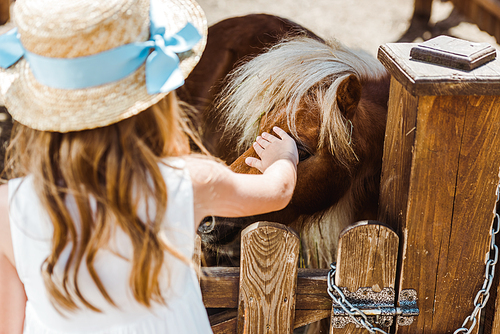 back view of kid in straw hat touching pony while standing in zoo