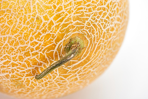 close up view of ripe yellow melon with tail on white background