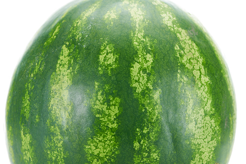 close up view of green watermelon textured peel isolated on white